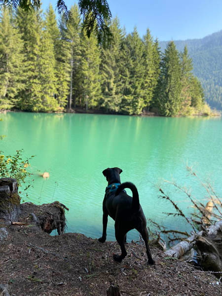Sadie overlooking a turquoise alpine lake