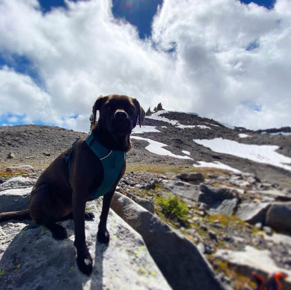 Sadie on an alpine summit